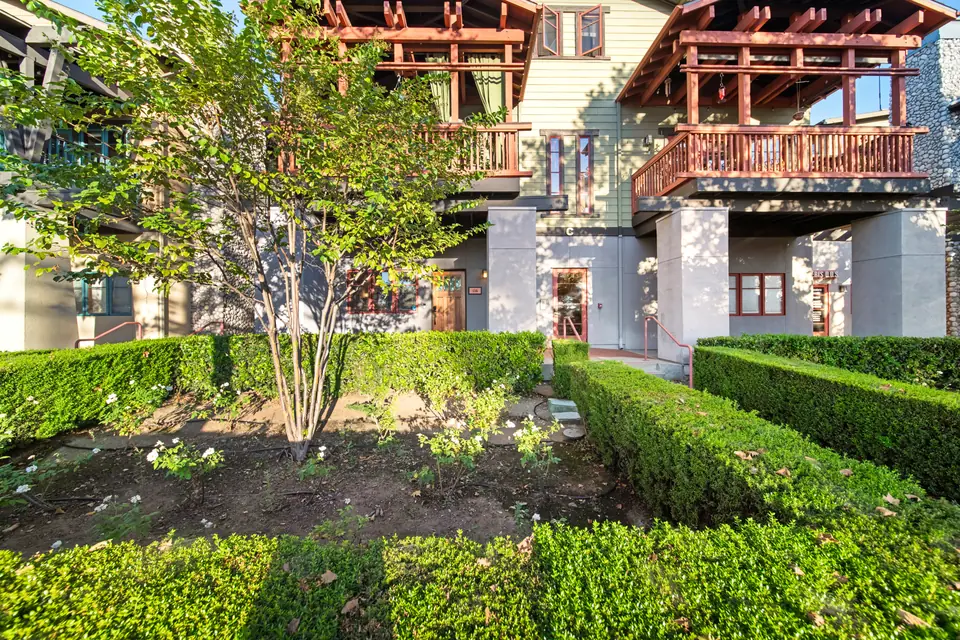 Front garden with hedges and a young tree below the balconies
