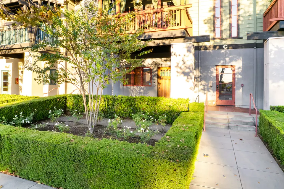 Garden path and hedges at the front of the building